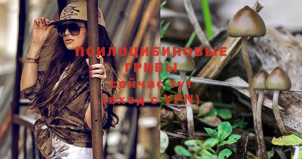тгк Вяземский