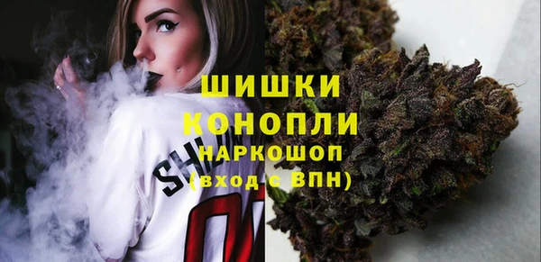 тгк Вяземский