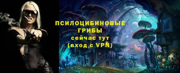 тгк Вяземский